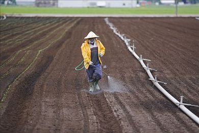 按摩A片｜指尖艺术，经营智慧：揭秘《按摩A片》游戏魅力-4