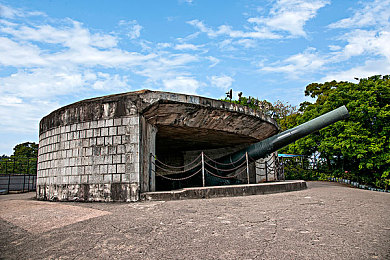 向日葵草莓蕾丝绿巨人app下载｜指尖绿巨人，定制个性生活-3