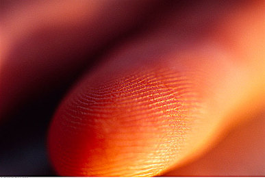 mimiai确认您已超过18｜穿越“mimiai”之门：揭秘成人世界守护下的成长瞬间-4