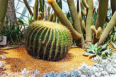 4438成人网站｜探秘4438：高清成人宝库，解锁生活新境界-2