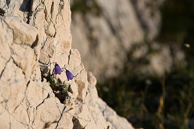 推特中国免费版r18高危｜推特中国版风险揭秘：隐私危机，警惕恶意应用