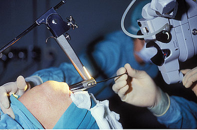 黄品汇绿巨人｜电商环保新篇章：黄品汇携手绿巨人共筑绿色未来-3