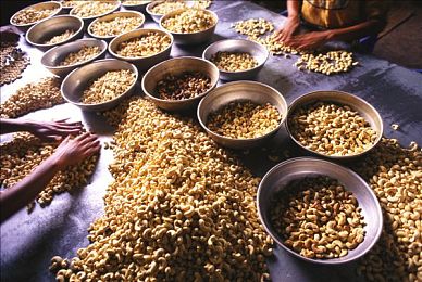 国产精品秘 入口传媒小说｜融合古今，创新绽放：国产精品小说引领文化新风尚-3