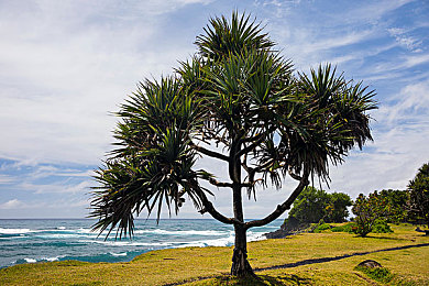 三级大胆人文艺术的文化内涵|艺术璀璨,人文关怀与创新精神交汇之旅-3