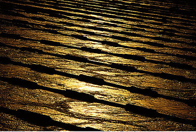 成人色综合｜网络监管挑战升级：成人色综合行业规范与未成年人保护刻不容缓-2