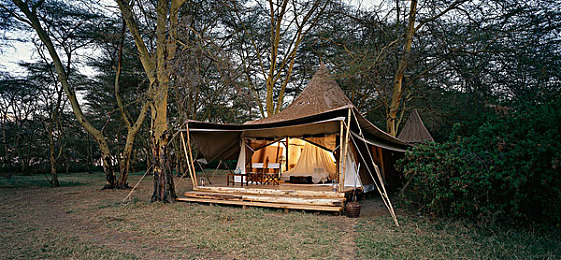 秀色直播app软件大全下载｜盘点热门秀色直播app，下载指南助你畅享直播盛宴-3