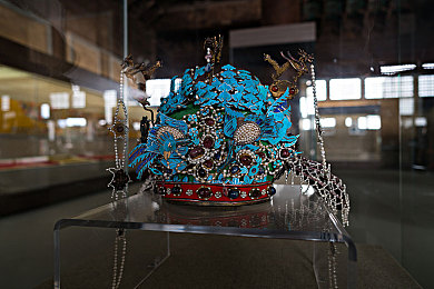 羽毛在尿孔打转｜奇观解码：小鸟羽毛旋转尿孔，揭秘动物行为奥秘