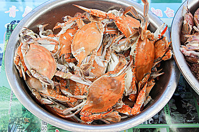 色多多app成人版 入口451｜隐私守护，自由畅游：“色多多成人版”探索之旅-2