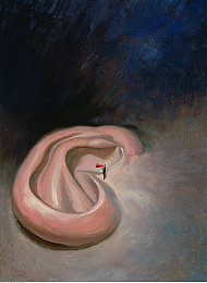 拔萝卜打牌不盖牌怎么办｜牌面风云：揭秘“不盖牌”背后的牌技与个性-4