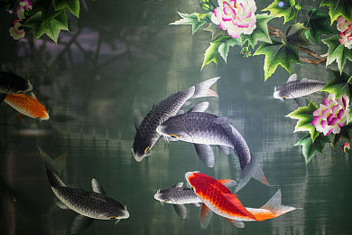 免费B站看大片美女直播｜B站免费大片美女直播活动来袭：用户激增，机遇与挑战并存-4