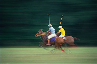 这里有精品99｜精品盛宴，99选一，尽在品质之选-2