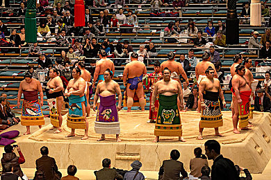 3.0.3免费OPPO版破解大全免费下载|破解奥秘,OPPO手机高级功能大揭秘,免费体验极致性能-3