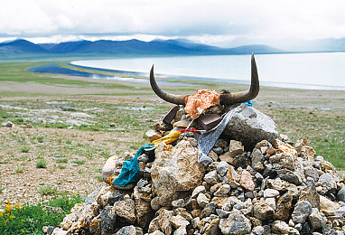 av蜜桃|探索新兴文化,刺激体验与选择之旅-4