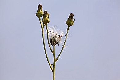 一小孩和姐姐生小孩｜青春守护：破解未成年人成长密码-3
