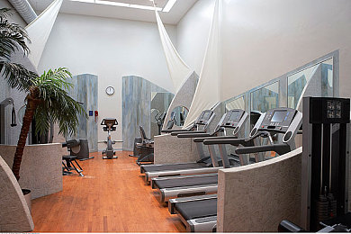 黄app下载3.0.3每天无限｜“黄app”3.0.3版无限下载功能引热议：便利与争议并存，用户体验与质量平衡待考-4