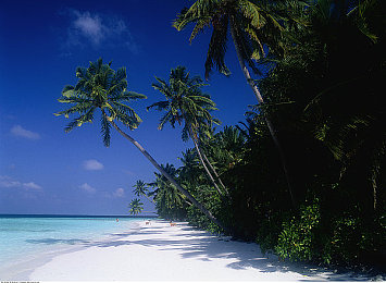 大象影视传媒ceo入口门户|数字化浪潮中的管理革命与创新突破-4