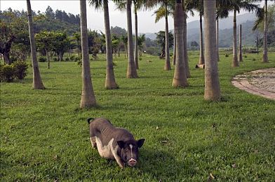 汤不热下载|汤不热秘境探秘:奇幻冒险之旅解锁神秘世界-3