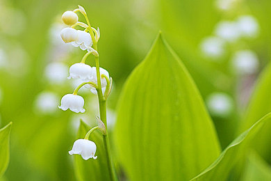 男生困困放入女生困困|“网络争议言论引关注:探讨青少年心理健康、性别平等与网络素养”-4