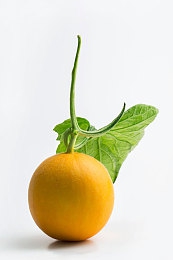 千帆直播｜千帆直播盛宴，畅游游戏新天地-3