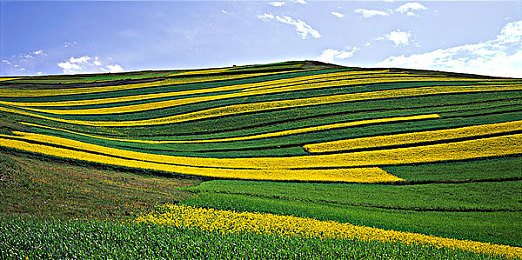 搞机time下载不用不收钱嘉兴｜嘉兴免费游戏库，畅玩无界乐无边-3