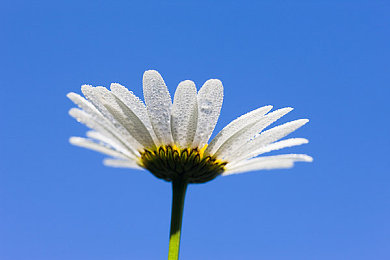 台北娜娜taipei糖心洗衣机|台北娜娜“糖心”洗衣机创新亮相,引领家电时尚潮流与环保革命-4