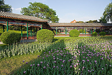 91每日大赛｜竞技乐园，每日精彩，才华绽放舞台-2