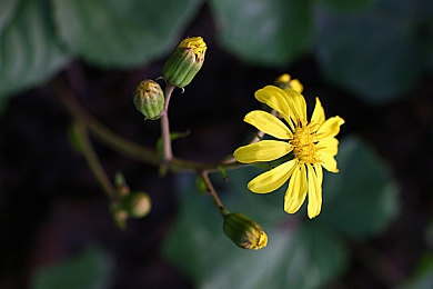 军人Chⅰnese猛男GⅤ自慰｜军营秘境：自慰真相与心灵守护之旅-2