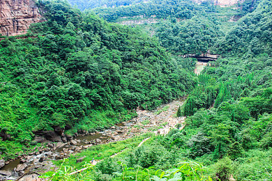 东京热ap｜“东京“热AP”现象：高温下的运动环保新挑战，和谐共生之路在何方？-3