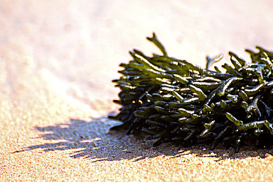 差差差很痛app免费下载软件|挑战极限,体验疼痛乐趣:《差差差很痛》免费下载,挑战你的意志力-4