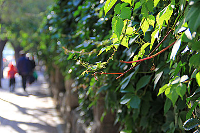 男生把自己的 放进男生的｜校园疑云：物品误放引发冲突，揭秘校园生活困境与和谐共处之道-2