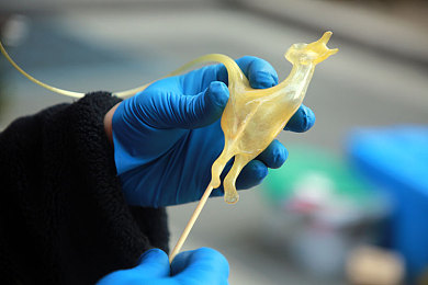 12小时919纪录片观看｜瞬间聚焦，百万目光见证：纪录片《12小时919》揭示基层生活画卷-3