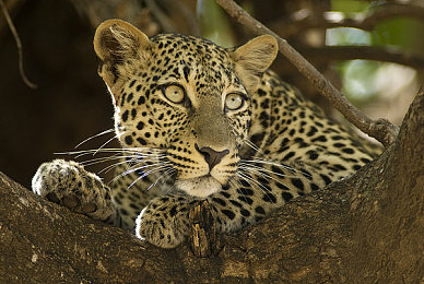 成人18秘 视频APP｜成人秘境探奇，高清视听盛宴-4