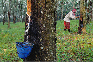 阿娇跪着吃J8陈冠希｜阿娇陈冠希欢乐互动，轻松减压趣味无限-5