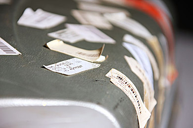 不知火舞与三个｜火影忍者：舞动青春，情谊永驻，忍者精神传承之旅-2