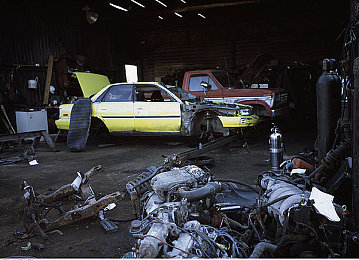 五月丁香综合|五月花海映城韵,丁香盛放映人心-2