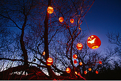 OPPO黄色软件下载｜OPPO应用商店揭秘：安全下载黄色软件，便捷与安全同行，守护您的手机生活-3