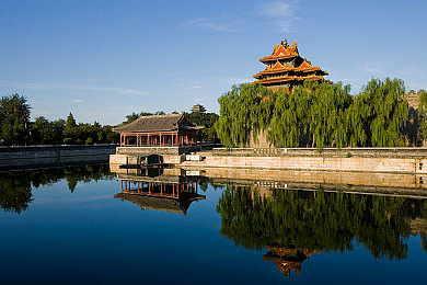 国产男男Gay 体育生｜体育赛场勇敢爱：同性恋情侣诠释爱情力量