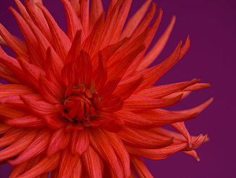 暗域网入口网址｜暗域秘境，畅享高清视听盛宴-2