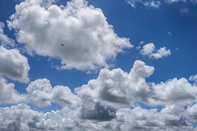 男生女生一起差差APP｜“趣味互动破界限，性别平等新平台——男生女生一起差差APP引领社交新风潮”-5