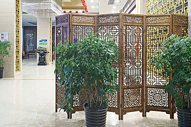 吃篮球臭脚体育生的大臭脚|篮球奇缘:揭秘汗脚奇效,球场霸主养成记-1