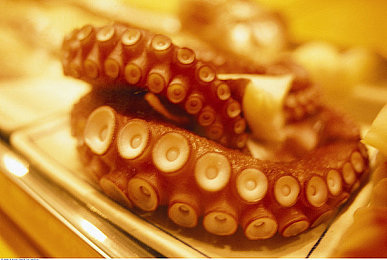 千人千色t9t9t9t9t9m｜科技新宠T9T9T9T9T9M：个性化定制引领未来潮流体验-3