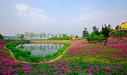 抖音风弹力插卡点合集反差｜抖音风游戏新潮弹力挑战，趣味插卡点狂欢-3