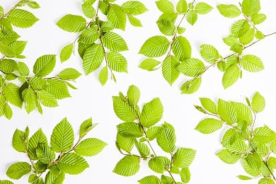 无尽3D怪物媾交粗暴|《无尽3D》暴力血腥内容引发伦理争议,游戏产业监管亟待加强-5