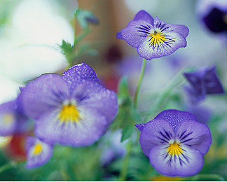 已满十八岁从此转入新世界｜青春起航，挑战与机遇交织：筑梦新时代-2