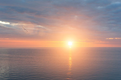 凌云壮志女版(法国)满天星｜“璀璨星空，女性科学追梦者：凌云壮志，照亮未来之路”-2