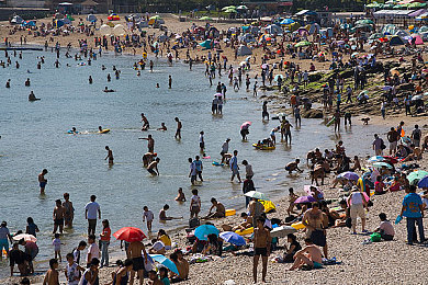 3D性猛交怪物 XX|探索奇幻与禁忌的交融,3D猛怪盛宴:视觉与操作的极致体验-2