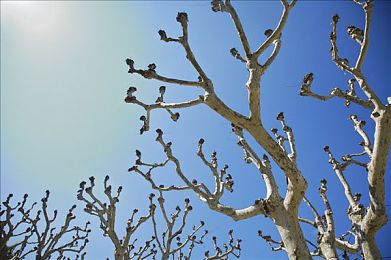 推油老女人推油受不了|按摩争议再起:推油不当事件引发行业规范反思-4