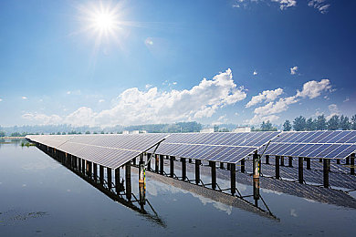 免费B站看大片美女直播｜B站免费大片美女直播活动来袭：用户激增，机遇与挑战并存-5