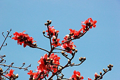 男男GayGay巨大粗|揭开“男男GayGay巨大粗”之谜:探寻同性恋群体背后的历史与内涵-4