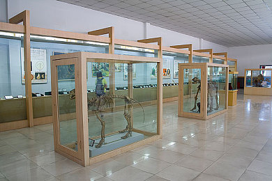 爱情岛vip永久入口｜虚拟浪漫仙境，共筑甜蜜回忆之旅-1